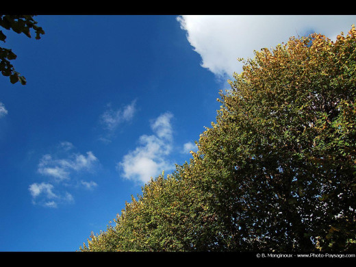 31429 (a): :1280x960